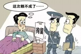 绥棱企业清欠服务